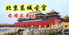 大阴茎操骚b中国北京-东城古宫旅游风景区
